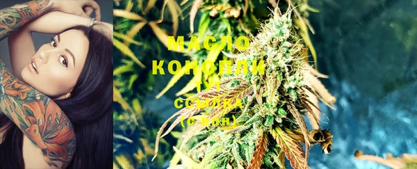 дмт Алексин