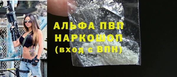 стаф Осинники