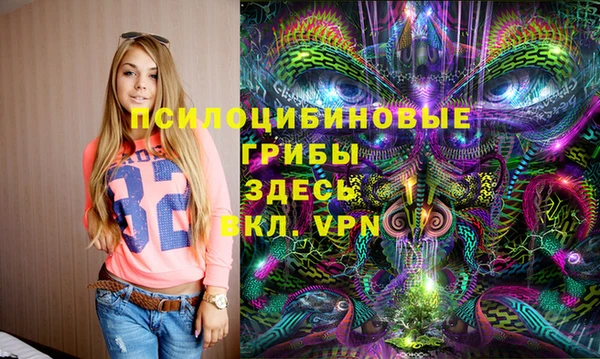 дмт Алексин